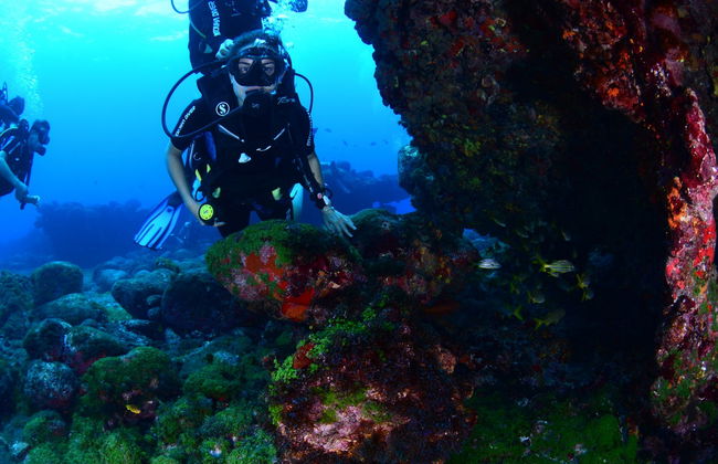 Bautismo de buceo en el Parque Nacional Marino Fernando de Noronha - Foto 6