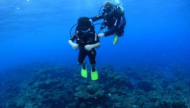 Immersione per principianti a Fernando de Noronha - Foto 5