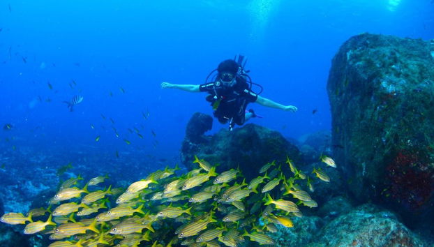 Immersione per principianti a Fernando de Noronha - Foto 3