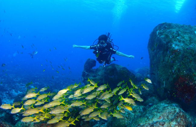Bautismo de buceo en el Parque Nacional Marino Fernando de Noronha - Foto 3