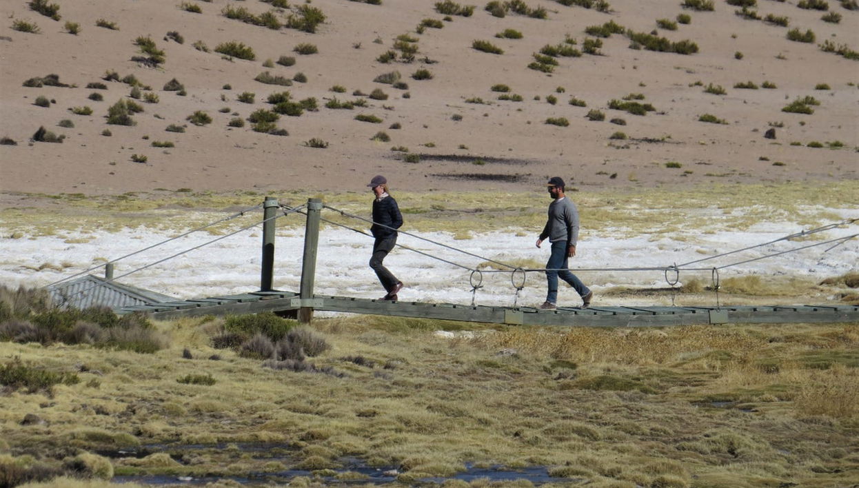 Tour de 3 dias por Lauca - Foto 1