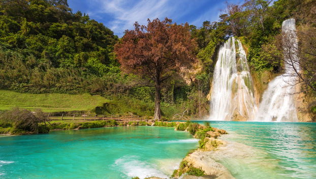 Huasteca Potosina Day Trip - Foto 3