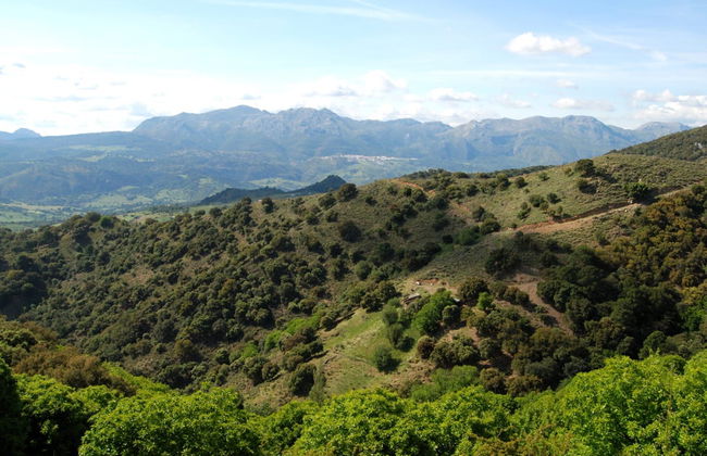 Visite à travers les montagnes de Marbella à vélo électrique - Photo 1