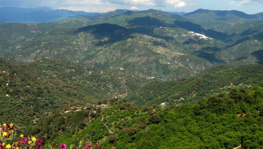 Visite à travers les montagnes de Marbella à vélo électrique - Photo 2