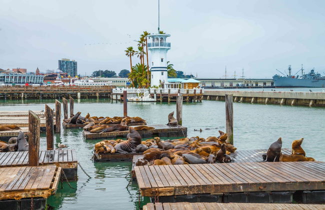 Passeio de catamarã pela baía de São Francisco - Foto 4