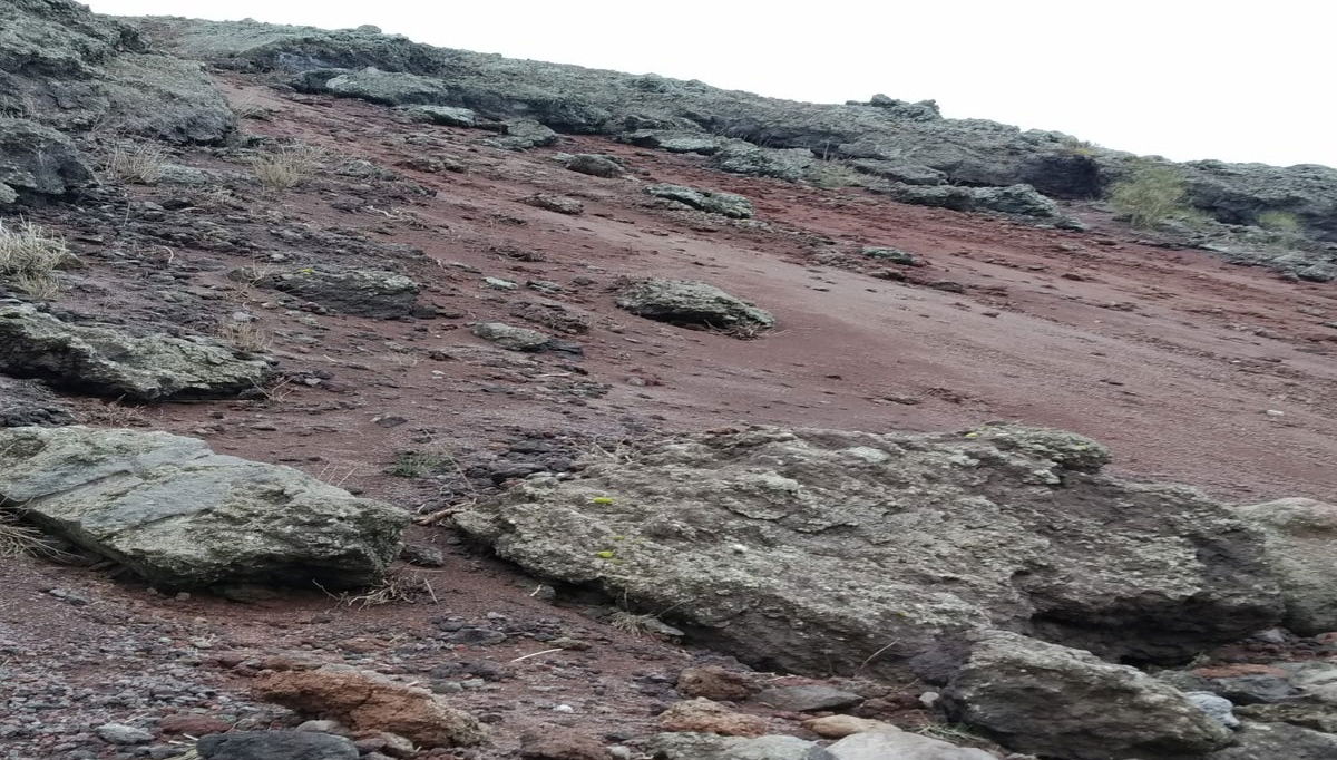 Escursione al Vesuvio - Foto 1