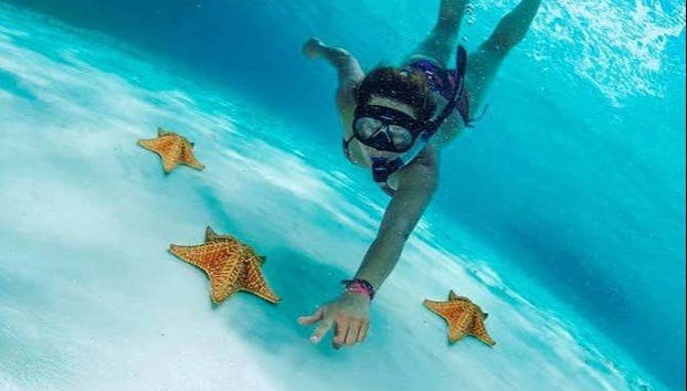 Excursion à Cozumel - Photo 2