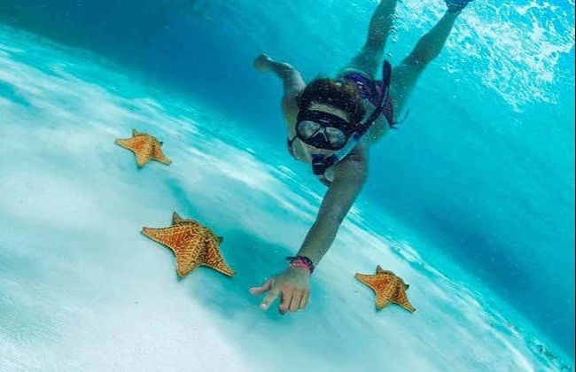 Excursion à Cozumel - Photo 2