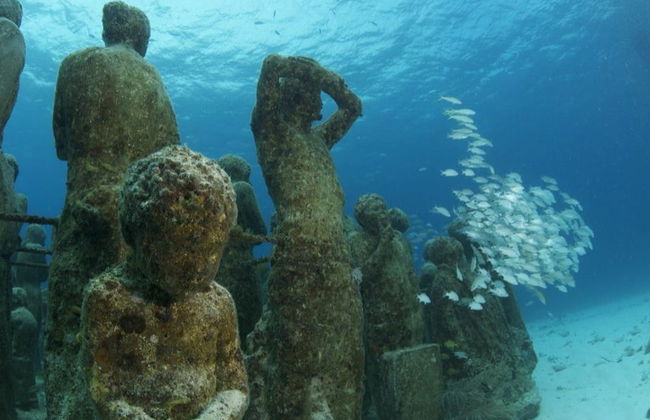 Snorkeling au MUSA - Photo 5
