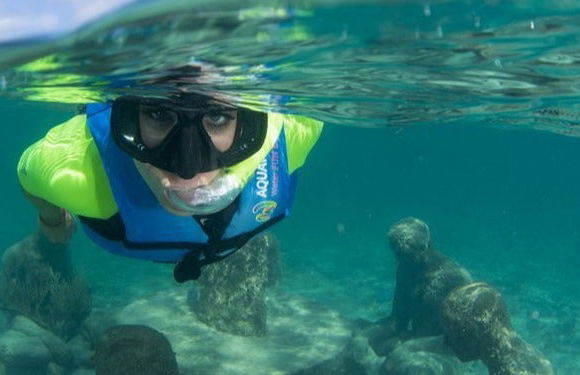 Snorkeling au MUSA - Photo 8