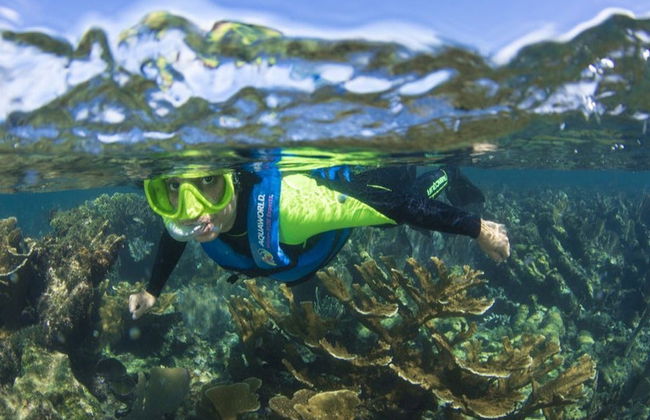Snorkeling au MUSA - Photo 3
