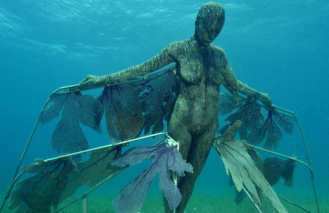 Snorkeling au MUSA - Photo 2
