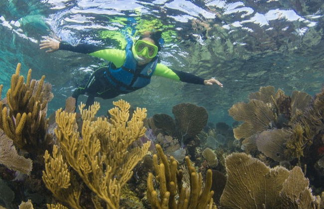 Snorkeling au MUSA - Photo 6