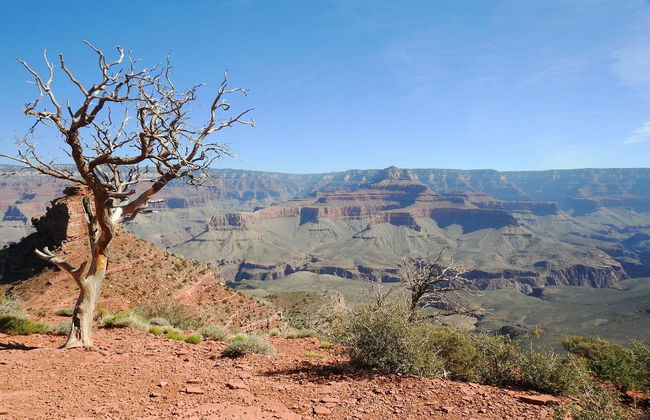 Excursão completa de monomotor ao Grand Canyon - Foto 7