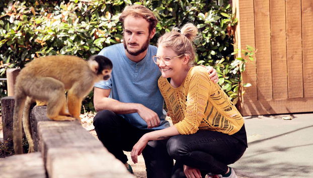 Go City London Explorer Pass - Foto 4