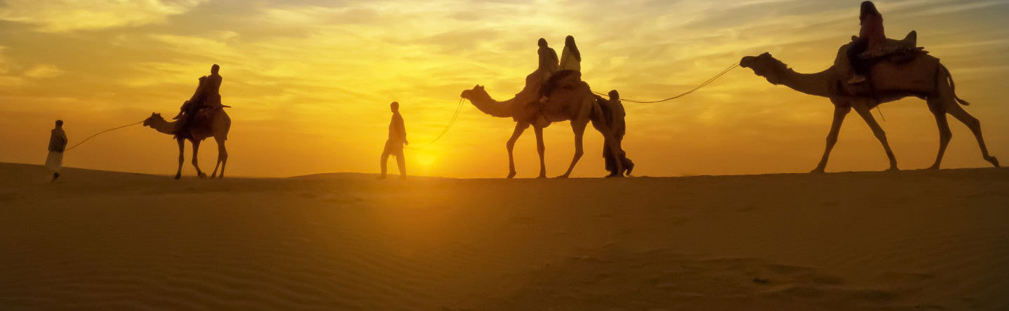 Desert Camel Ride + Dinner - Foto 1