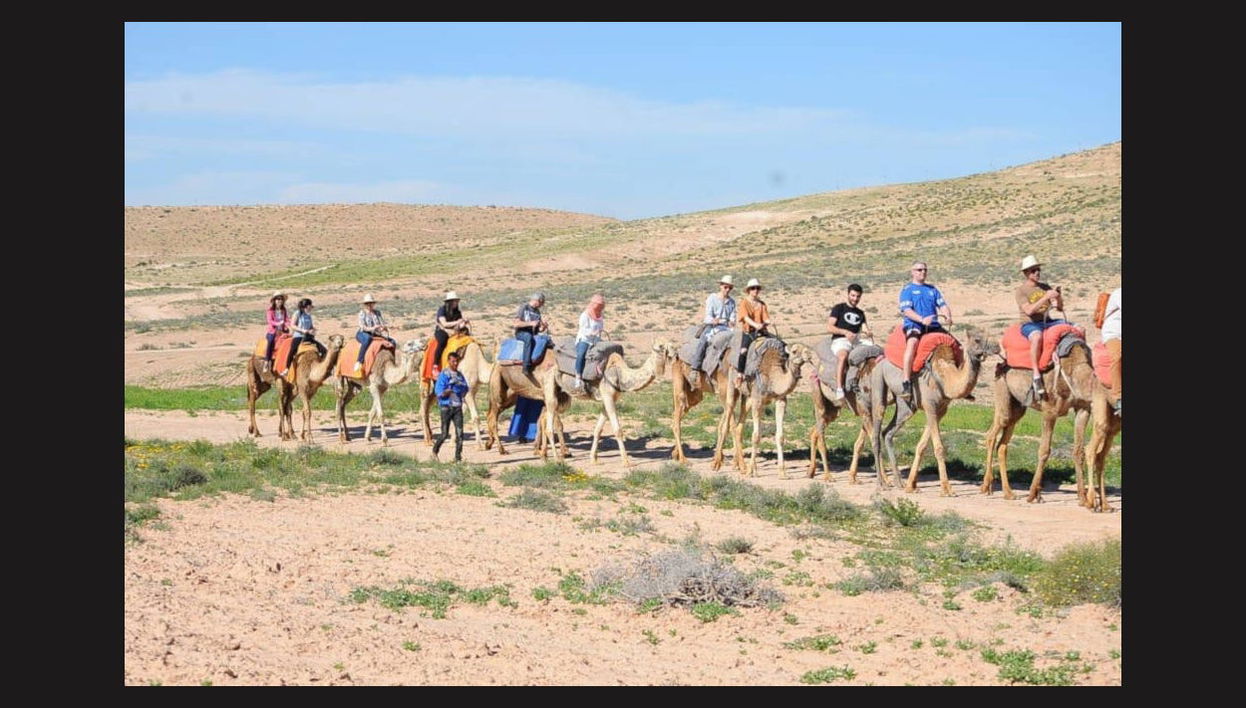Passeio de camelo pelo deserto com jantar e espetáculo - Foto 1