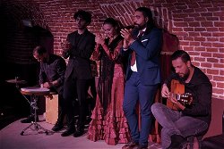 Espectáculo en la cueva histórica Essential Flamenco