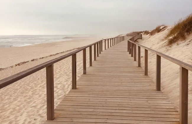 Visita guiada por Alicante - Foto 5