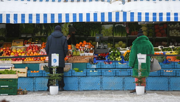 Visita guiada privada por Munique - Foto 3