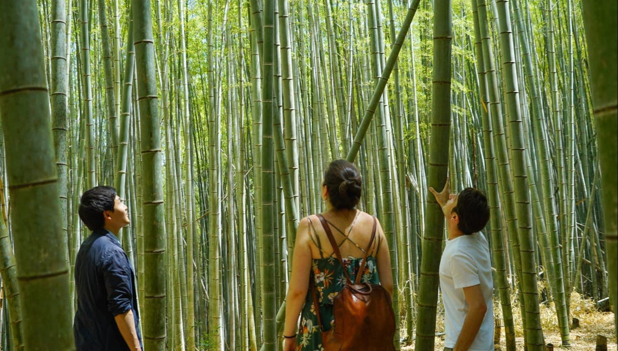 Trekking al santuario Fushimi Inari-Taisha - Foto 1