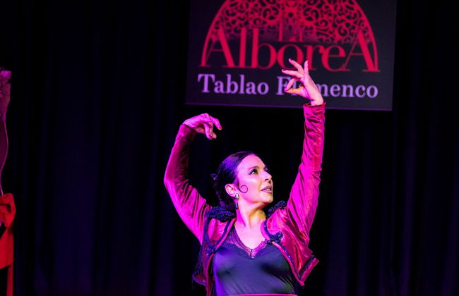 Espetáculo de flamenco em La Alboreá - Foto 8