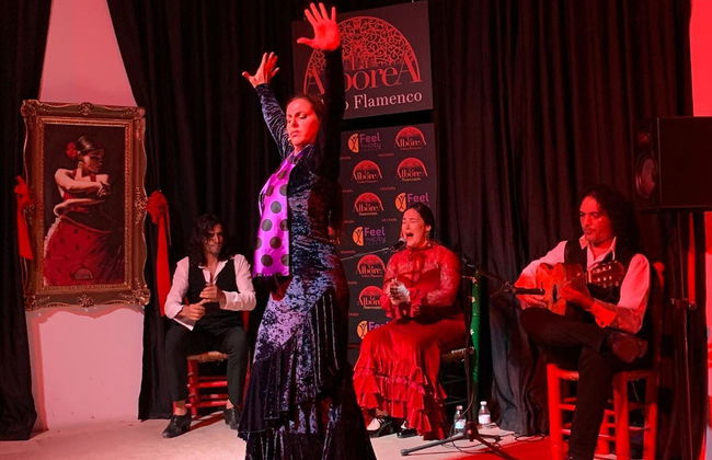 Espetáculo de flamenco em La Alboreá - Foto 3
