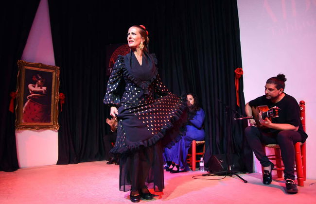 Espectáculo flamenco en La Alboreá - Foto 11