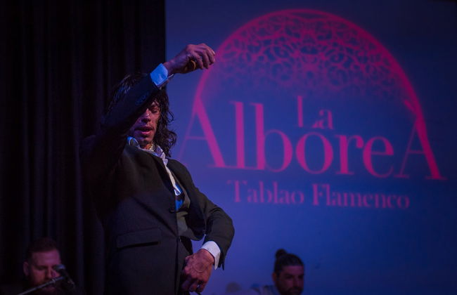 Espetáculo de flamenco em La Alboreá - Foto 5