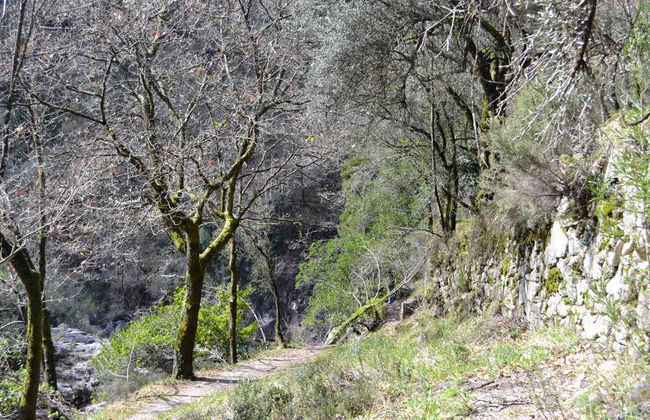 Excursión al Parque Nacional Peneda-Gerês - Foto 6