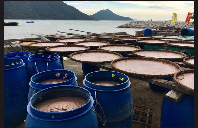 Lantau Island Private Tour - Photo 3