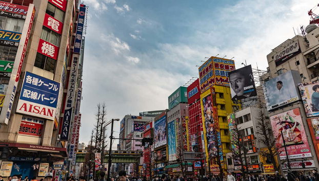 Private Tour of Tokyo - Photo 5