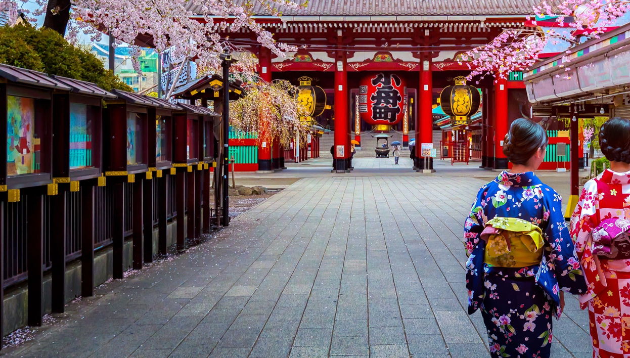 Private Tour of Tokyo - Foto 2