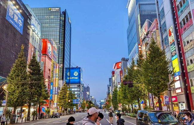 Tour privado por Tokio - Foto 7