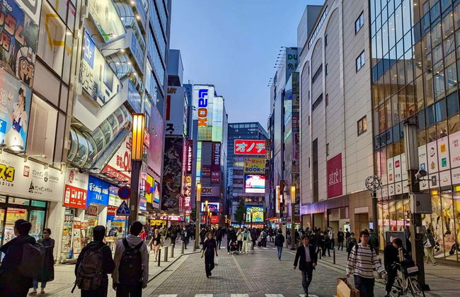 Tour privado por Tokio - Foto 4