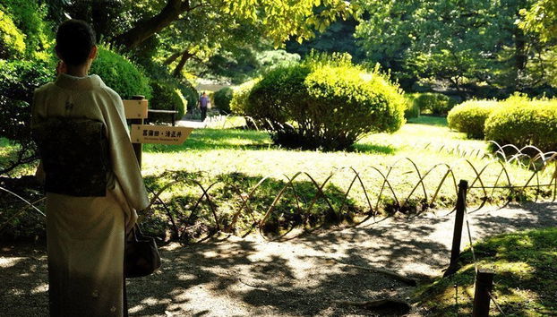 Private Tour of Tokyo - Foto 3