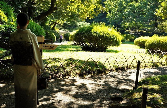 Tour privado por Tóquio - Foto 3