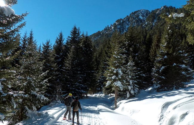 Snowshoeing set rental in Bansko - Photo 6
