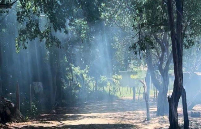 Descubre el paraíso natural de las Lagunas de Chacahua - Tour de un día entero - Foto 4