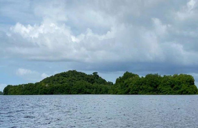 Descubre el paraíso natural de las Lagunas de Chacahua - Tour de un día entero - Foto 7