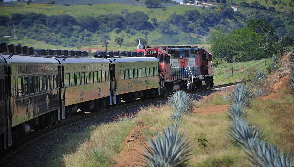Tour to Tequila + Jose Cuervo Express Train & Mariachi Show - Photo 1