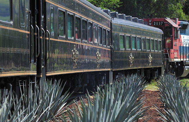 Excursão a Tequila com espectáculo mariachi + Trem José Cuervo Express - Foto 5