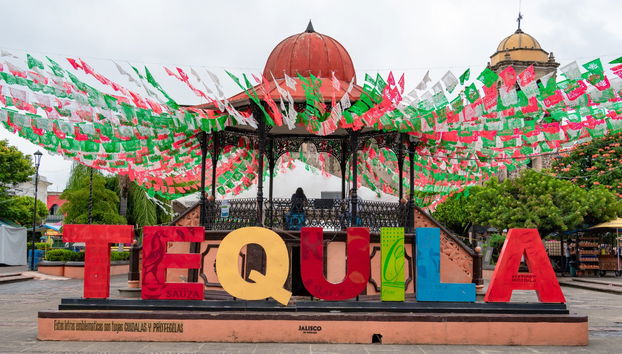 Tour to Tequila + Jose Cuervo Express Train & Mariachi Show - Photo 3