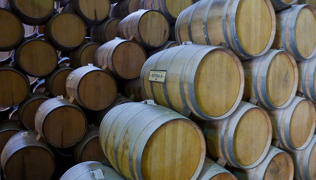 Tour to Tequila + Jose Cuervo Express Train & Mariachi Show - Photo 5