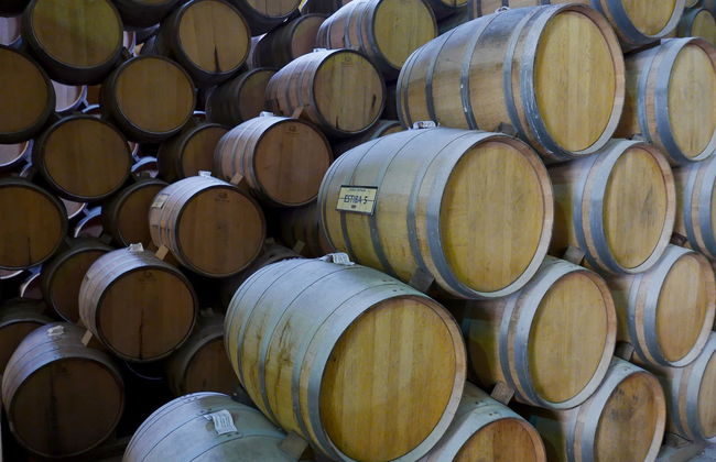 Escursione a Tequila con spettacolo mariachi + Treno José Cuervo Express - Foto 5