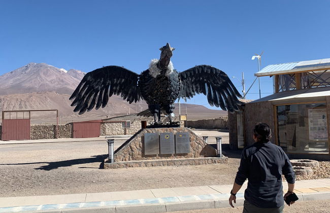 Excursión privada a Ollagüe y los salares del Alto del Loa - Foto 7