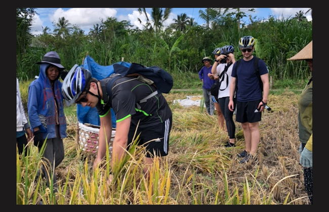 Tour en bicicleta por Ubud y Kintamani - Foto 2