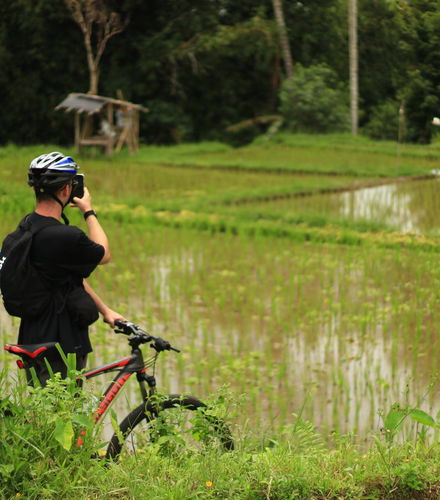 Foto de Tour en bicicleta por Ubud y Kintamani