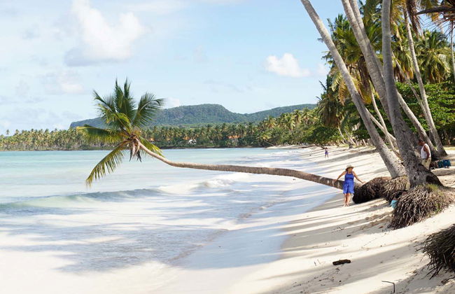 Tour por las 7 playas de Samaná - Foto 3