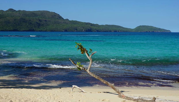 7 Beaches of Samana Tour - Photo 5